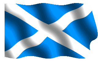 tenerifeflag